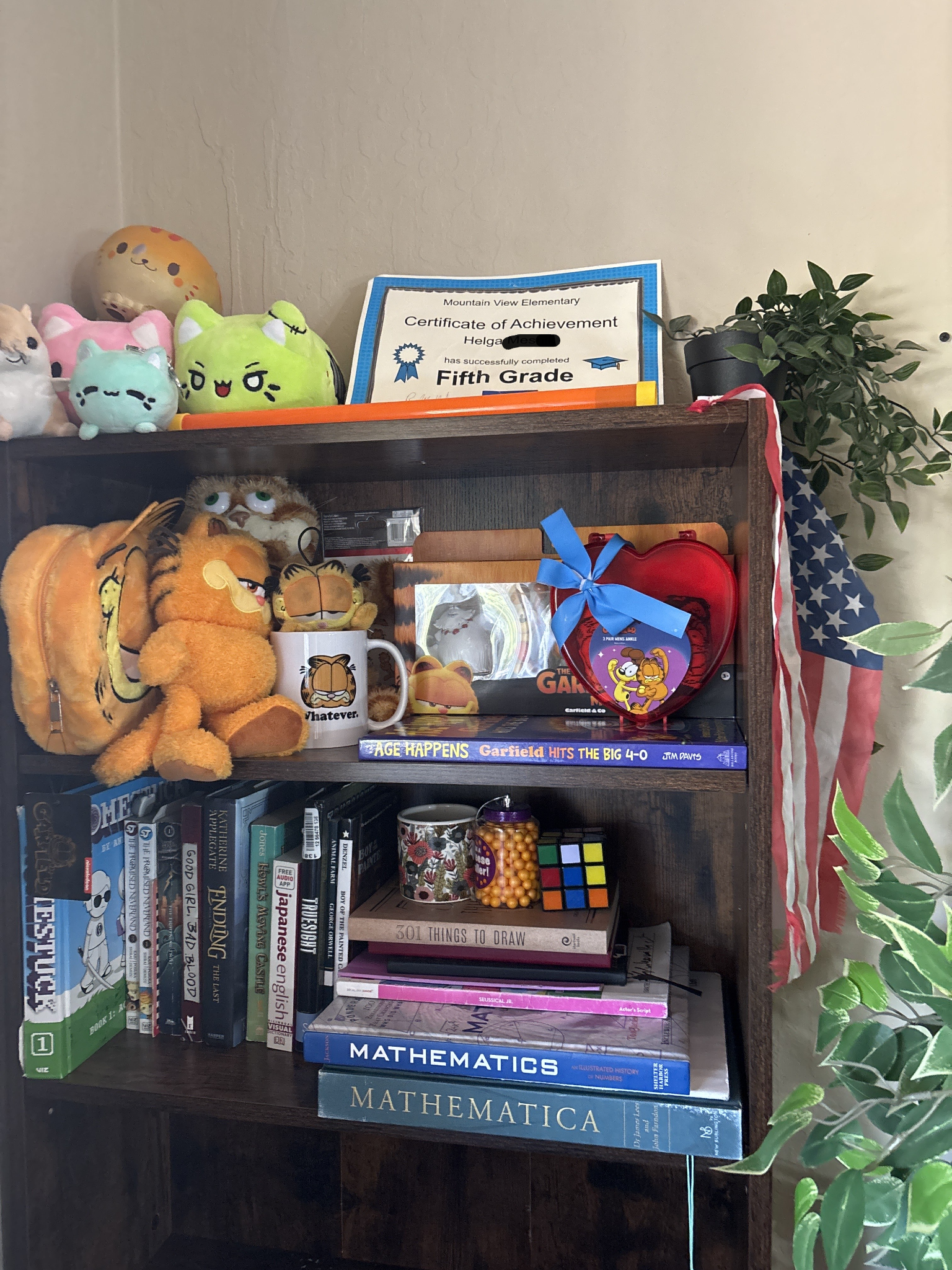 shelf